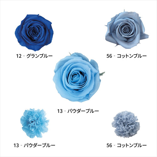 Florever Preserved flower Mix Palette Blue Mix