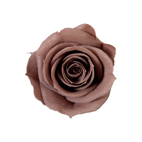 Florever Sparkling Spray Rose - Brown Gray