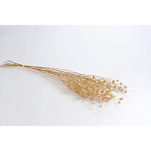 Florever Shiny Linseed Flower DRIED / Gold