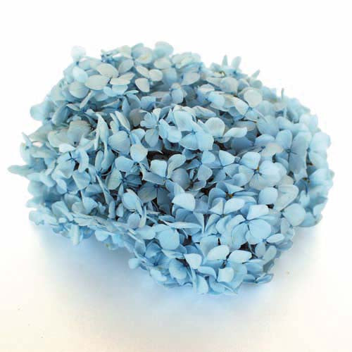 Florever Preserved Hydrangea Andes Ajisai 20g - Powder Blue